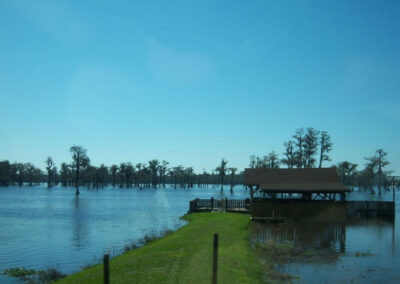 Cypress-Lake---Florida-Fishing-Lakes