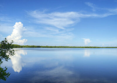 Ding-Darling-Nature-Reserve-in-Sanibel-Island