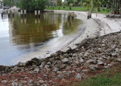 Garden-of-the-Edison-and-Ford-Winter-Estate-in-Fort-Myers