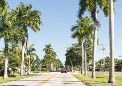 Road-with-palms-in-Fort-Myers,-Florida
