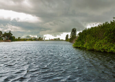 Water-in-Cape-Coral